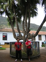 Tenerife 2005 2 36